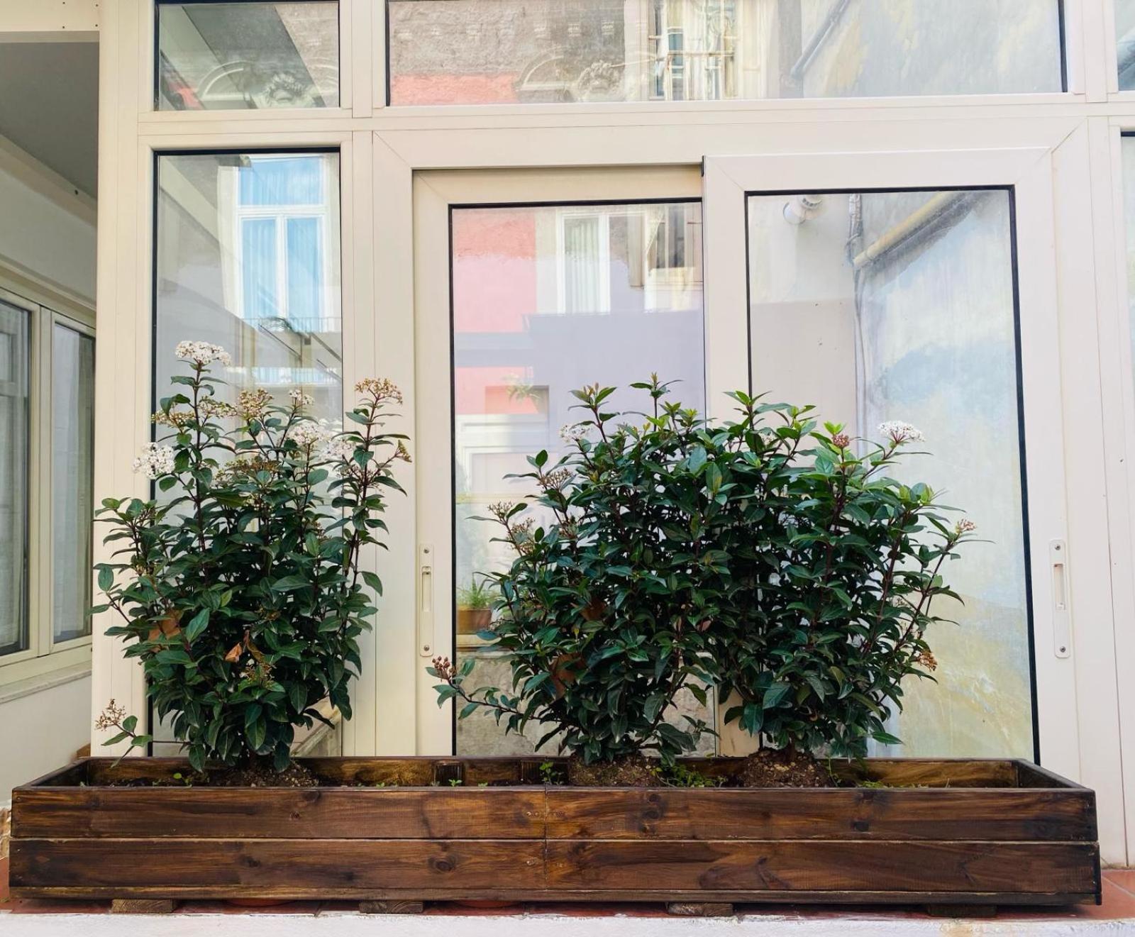 Apartament La Casa Di Apollo Neapol Zewnętrze zdjęcie